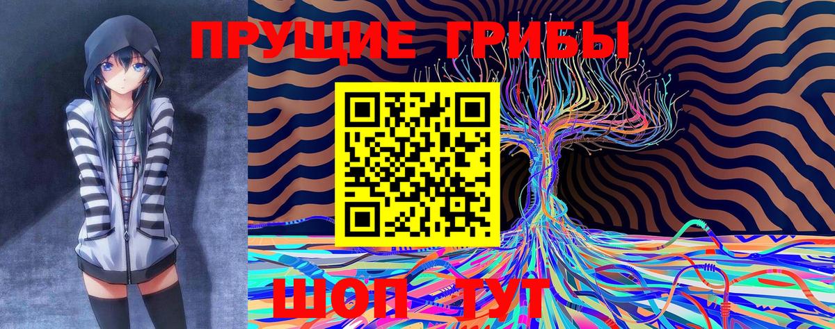 Белая Калитва  Галлюциногенные грибы Cubensis  Вход с VPN 