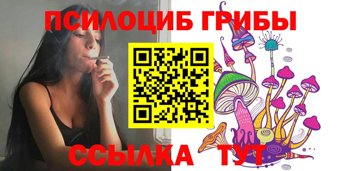 Галлюциногенные грибы Psilocybe Белая Калитва